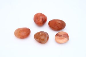 MJ0044-2-scaled-1.jpg