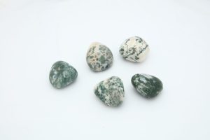 MJ0047-2-scaled-1.jpg