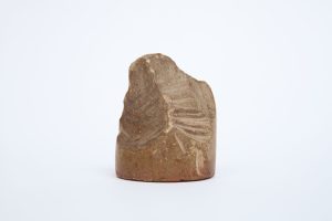 MJP0009-5-scaled-1.jpg