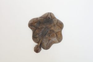 MSJ0012-5-scaled-1.jpg