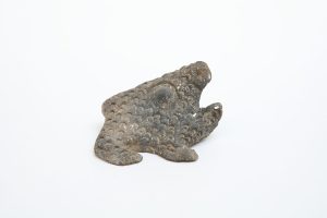 MSJ0015-1-scaled-1.jpg