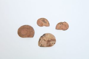 MSJ0038-1-scaled-1.jpg