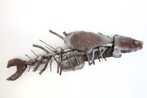 SP0008-4-scaled-1.jpg