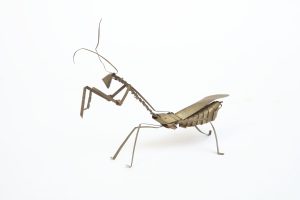 SP0010-1-scaled-1.jpg