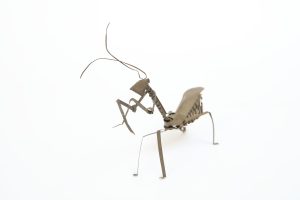 SP0010-2-scaled-1.jpg