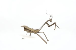 SP0010-3-scaled-1.jpg