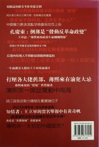 中國式政變-2